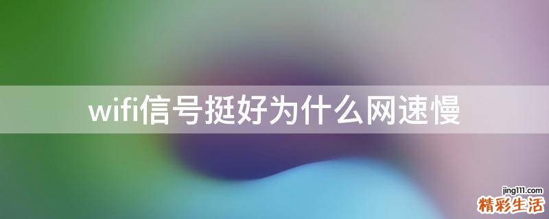 wifi信号挺好为什么网速慢