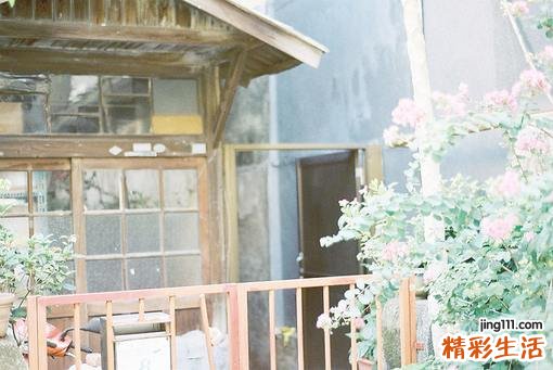 原发性高血压吃什么药最好