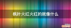 枫叶火红火红的就像什么