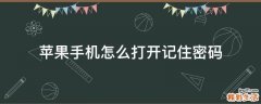 苹果手机怎么打开记住密码