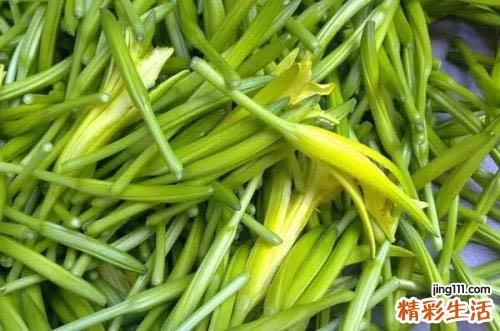 黄花菜的营养价值