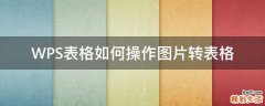 WPS表格如何操作图片转表格