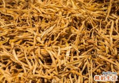 干黄花菜怎么泡发 干黄花菜泡多久可以吃
