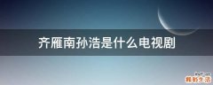 齐雁南孙浩是什么电视剧