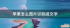 苹果怎么图片识别成文字