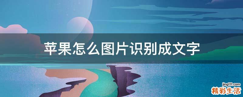 苹果怎么图片识别成文字