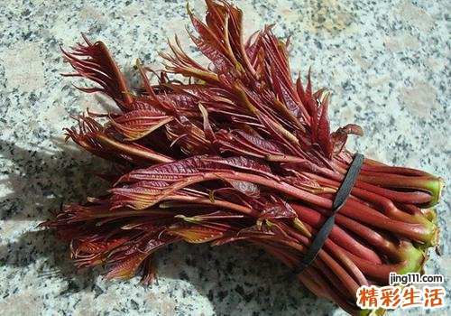 香椿和虾能一起吃吗 一起吃有什么作用