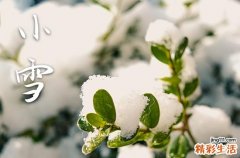 小雪节气要注意什么事项