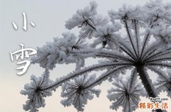 小雪节气要做什么事情