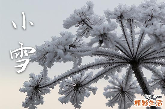 小雪节气要做什么事情