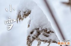 小雪节气吃什么菜最养生?
