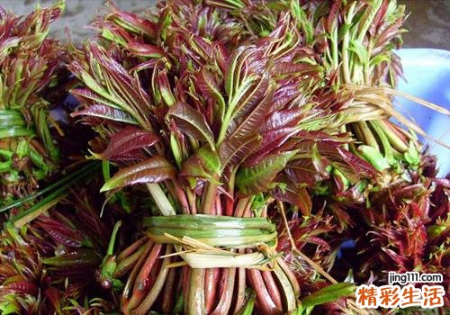 吃香椿会过敏吗 过敏能吃香椿吗