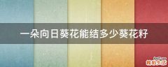 一朵向日葵花能结多少葵花籽
