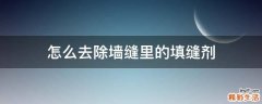怎么去除墙缝里的填缝剂