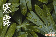 寒露这天有什么禁忌