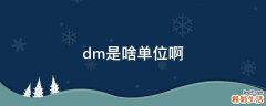 dm是啥单位啊