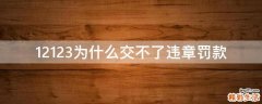 12123为什么交不了违章罚款