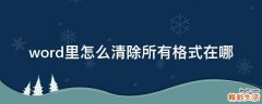 word里怎么清除所有格式在哪
