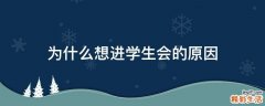 为什么想进学生会的原因