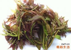 吃香椿的好处和坏处
