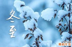 2023年冬至节是几月几号农历