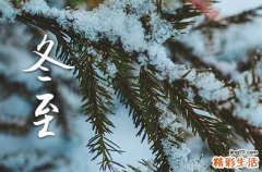 2023年冬至一般在农历的哪一天