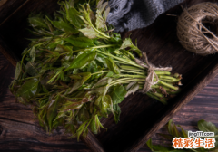 香椿没焯水能吃吗 香椿焯水后还要清洗吗