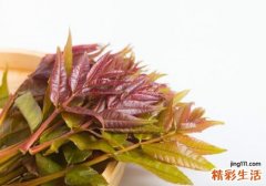 孕妇可以吃香椿吗 孕妇吃香椿好不好