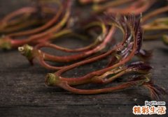 新鲜香椿怎么保存 怎样储存香椿更新鲜