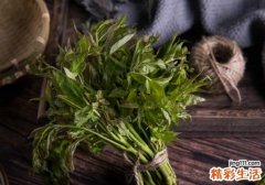香椿是不是发物 哪些人不适合吃香椿