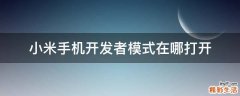 小米手机开发者模式在哪打开