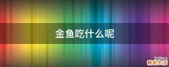 金鱼吃什么呢