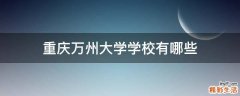 重庆万州大学学校有哪些