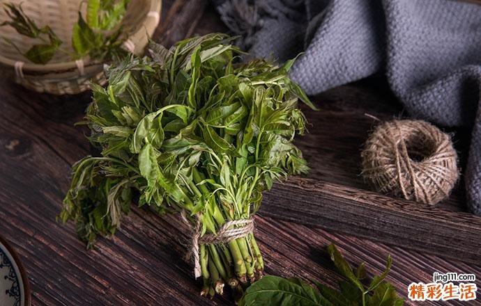 香椿多吃好不好 香椿的食用注意事项