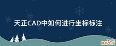 天正CAD中如何进行坐标标注