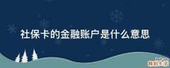 社保卡的金融账户是什么意思