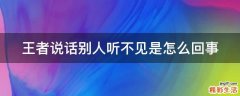 王者说话别人听不见是怎么回事