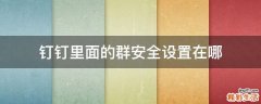 钉钉里面的群安全设置在哪
