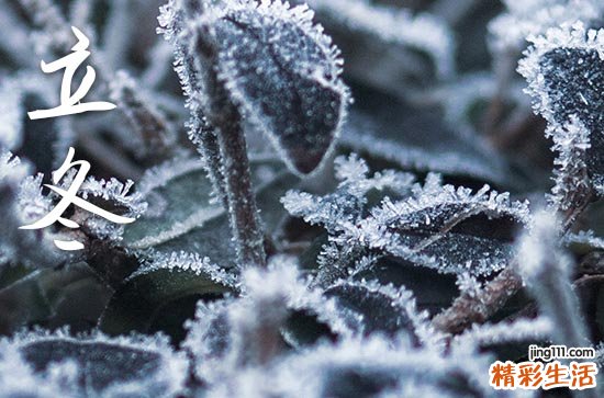 立冬节气吃什么食物有补身体