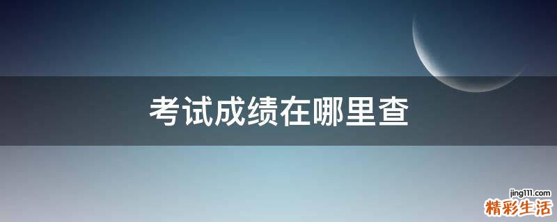考试成绩在哪里查