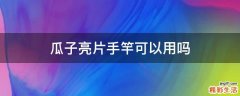 瓜子亮片手竿可以用吗