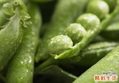 毛豆怎么煮绿 毛豆一般要煮多久才熟