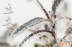 立冬节气要注意什么事项