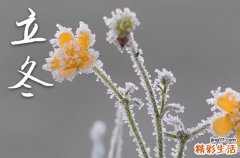 立冬节气吃什么食物最好