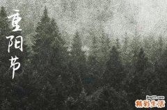 重阳节登高的寓意,登高的寓意和象征