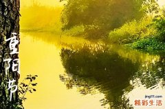 重阳节喝什么酒,重阳节饮什么酒