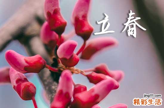 2024年立春是几月几号几点几分