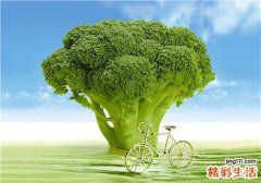 西兰花怎么做给宝宝吃 宝宝多大可以吃西兰花
