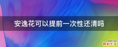 安逸花可以提前一次性还清吗
