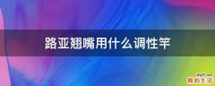 路亚翘嘴用什么调性竿